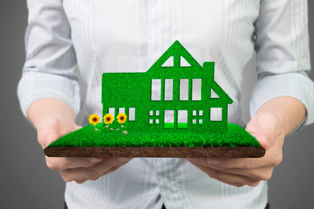 Hands holding green house on grass land with mud sunflowers Green energy supply and solution concept, woman hands holding green house on grass land with mud and sunflowers, front view, isolated on gray background. green building stock pictures, royalty-free photos & images
