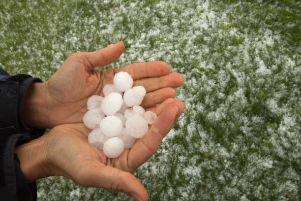 Hands holding quarter sized hail stones Denver Colorado stock photo