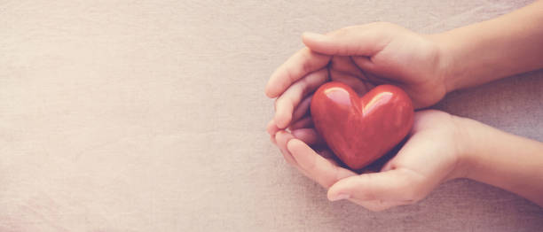 händer som håller rött hjärta, sjukvård, kärlek, organdonation, familjeförsäkring, csr, världshjärta dag, världshälsodagen, välbefinnande, tacksamhet, vara snäll, vara tacksam koncept - emotionellt stöd bildbanksfoton och bilder
