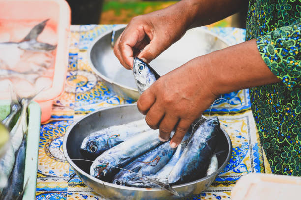 hands holdong tuna fish at seafood market stock photo