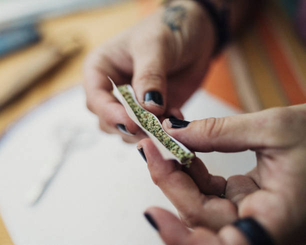 Hands of a 40 year old woman rolling a joint, prescribed by a doctor for her chronic illness. Alternative medicine rolling joint stock pictures, royalty-free photos & images