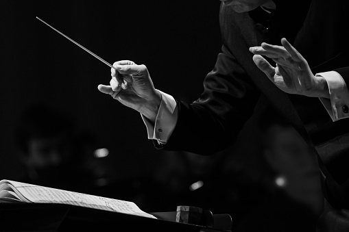 Hands of a conductor of a symphony orchestra close-up in black and white