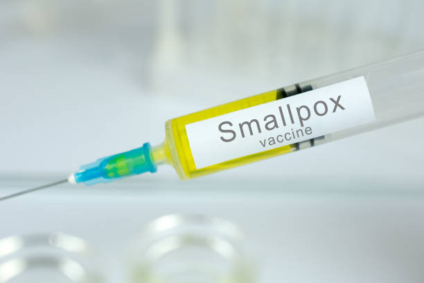 Hands of doctor or nurse in medical gloves with medical syringe ready for injection a shot of Smallpox vaccine. close up, selective focus Vaccination healthcare concept smallpox virus stock pictures, royalty-free photos & images
