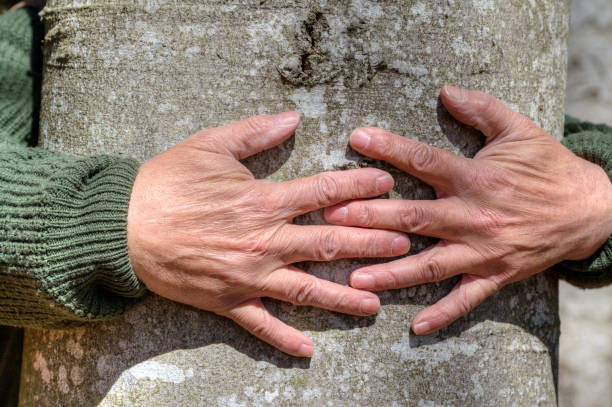 Hands on a tree trunk. stock photo