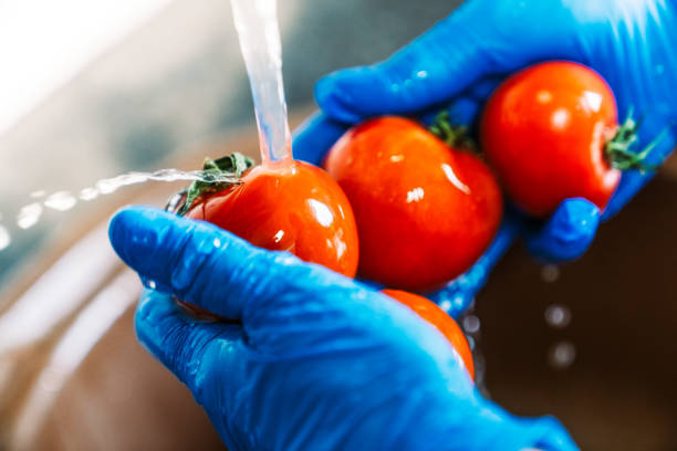 Hands with blue latex gloves disinfecting tomatoes to decontaminate the fruit from coronavirus. Washing the fruit with water and lye to remove viruses.  contamination stock pictures, royalty-free photos & images