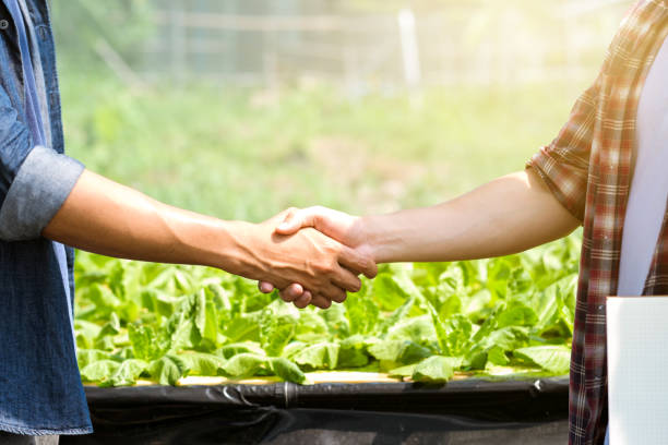 Handshaking between farmers and customers for business partners. stock photo