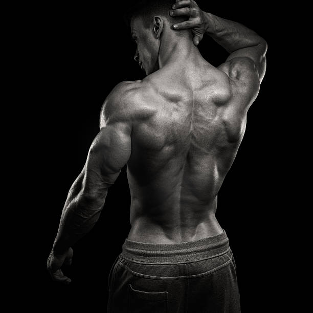 Handsome power athletic man turned back Handsome power athletic man turned back. Isolated over black background. Strong bodybuilder with shoulders, biceps, triceps and chest macho stock pictures, royalty-free photos & images