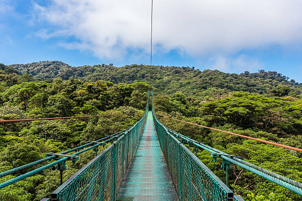 Hanging Bridges in Cloudforest - Costa Rica Walking on hanging bridges in Cloudforest - Travel destination Costa Rica monteverde stock pictures, royalty-free photos & images