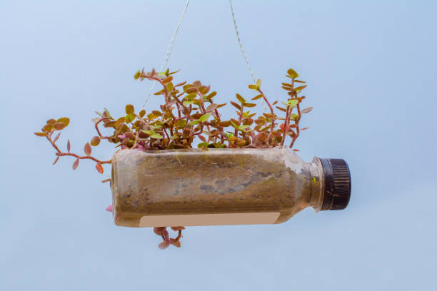 vaso di fiori appeso di bottiglia di plastica, con alcuni phulwari in esso, isolato, copiare spazio. - upcycling foto e immagini stock