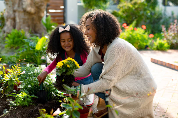 Happy african american mother and daughter planting flowers stock photo