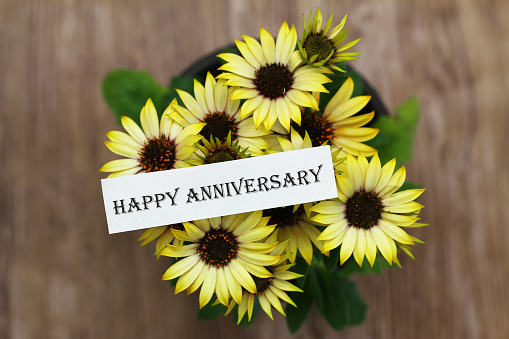 happy anniversary card with yellow daisy flowers in pot