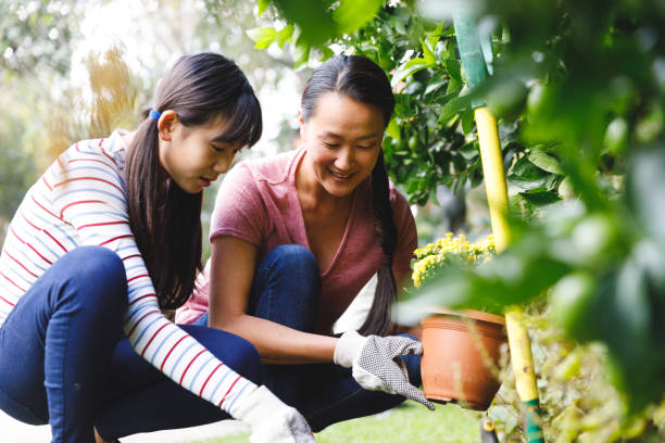 Happy asian mother and daughter smiling, wearing gloves and working in garden stock photo