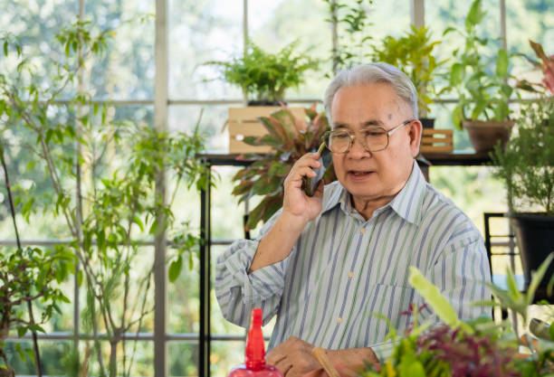 Happy Asian senior man with gray hair wear glasses talking by mobile phone to customer in the greenhouse at home. stock photo