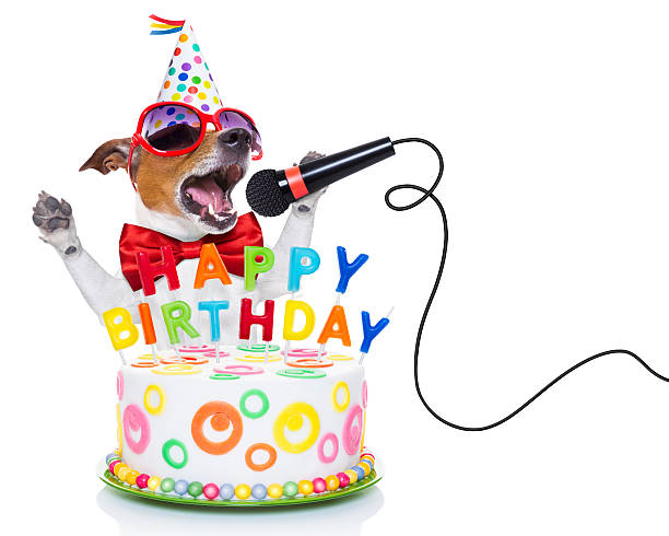 happy birthday dog jack russell dog  as a surprise, singing birthday song  like karaoke with microphone ,behind funny cake,  wearing  red tie and party hat  , isolated on white background humorous happy birthday images stock pictures, royalty-free photos & images