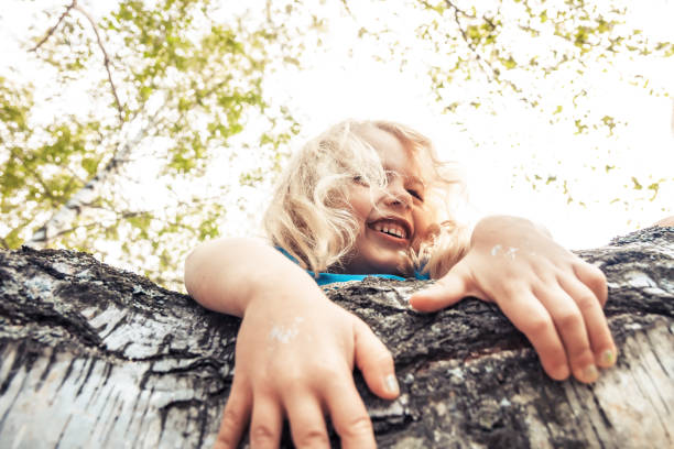 Happy child girl climbing on tree in park during summer holidays with bright lush foliage on background concept for happy carefree childhood lifestyle stock photo
