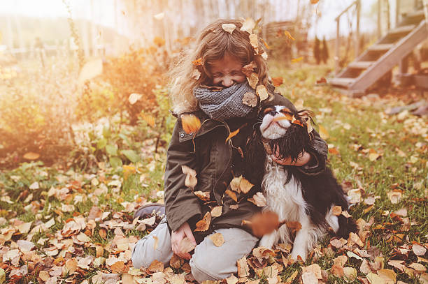 happy child girl playing with her dog in autumn stock photo