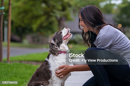 istock Happy Eurasian woman playing with pet dog 1282756425