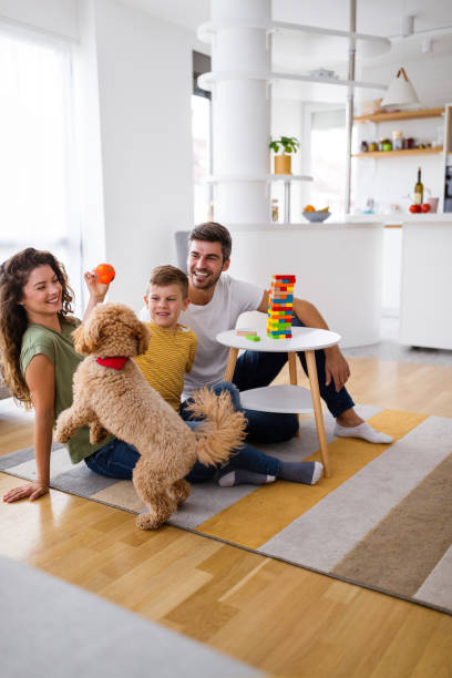 Happy family having fun time, playing together at home with dog stock photo