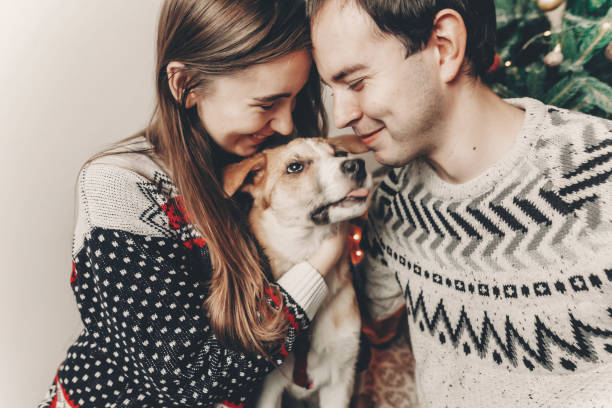 happy family in stylish sweaters having fun with cute dog in festive room with christmas tree. emotional moments. merry christmas and happy new year concept. happy holidays happy family in stylish sweaters having fun with cute dog in festive room with christmas tree. emotional moments. merry christmas and happy new year concept. happy holidays happy new year dog stock pictures, royalty-free photos & images