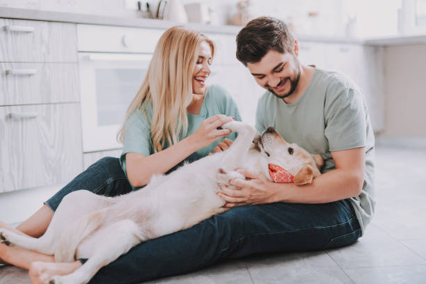 gelukkige familie met tevreden golden retriever hond - hondachtige stockfoto's en -beelden