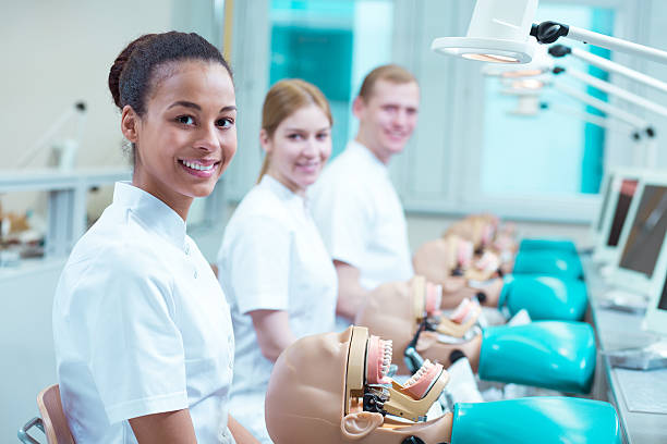Happy future dentists at school Three young happy future dentistry doctors on classes at school anatomical model photos stock pictures, royalty-free photos & images