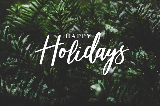 noel evergreen çam ağacı arka plan over happy holidays script - happy holidays stok fotoğraflar ve resimler