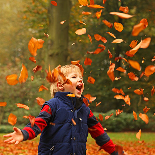 Happy Little Boy Playing with Colorful Autumn Leaves Outdoors stock photo
