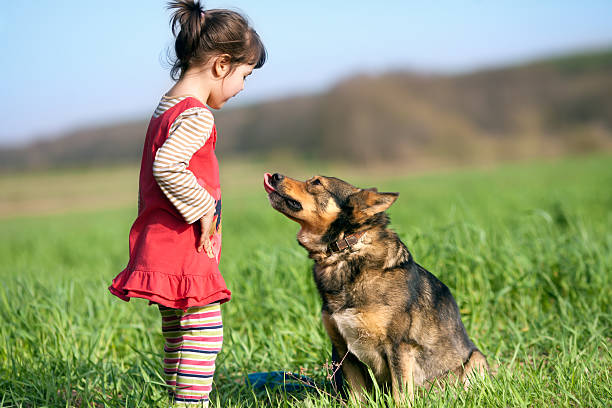 Happy little girl playing with dog Happy little girl playing with dog on the grass beautiful young brunette girl playing with her dog stock pictures, royalty-free photos & images