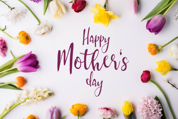 happy mothers day samenstelling. bloemen op witte achtergrond. studio opname. - moederdag stockfoto's en -beelden