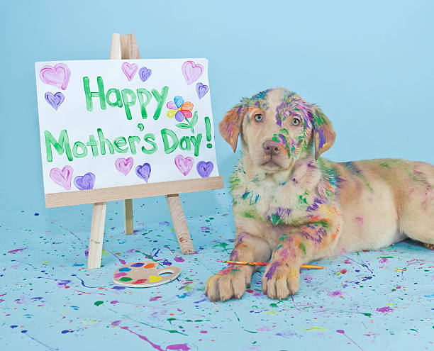 Happy Mother's Day Puppy stock photo