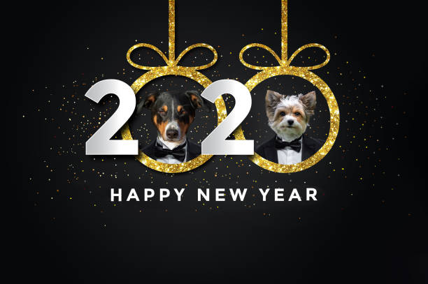 Happy new year 2020 Happy new year 2020 with two Dogs happy new year dog stock pictures, royalty-free photos & images