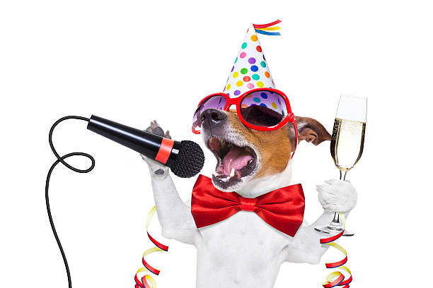 happy new year dog jack russell dog celebrating new years eve with champagne and singing karaoke with a microphone, isolated on white background happy new year dog stock pictures, royalty-free photos & images