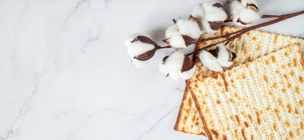 Happy Passover. Background religious Jewish holiday Pesach. Matzo bread and cotton flowers on a white marble. Copy space. stock photo