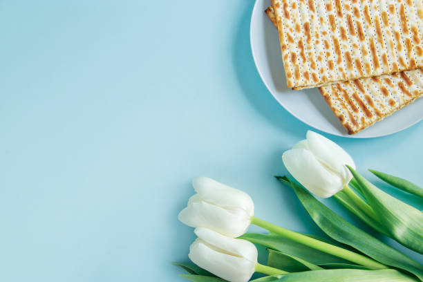Happy Passover concept. Matzo and white tulips on a blue background. Religious Jewish holiday Pesach. Copy space, flat lay. stock photo