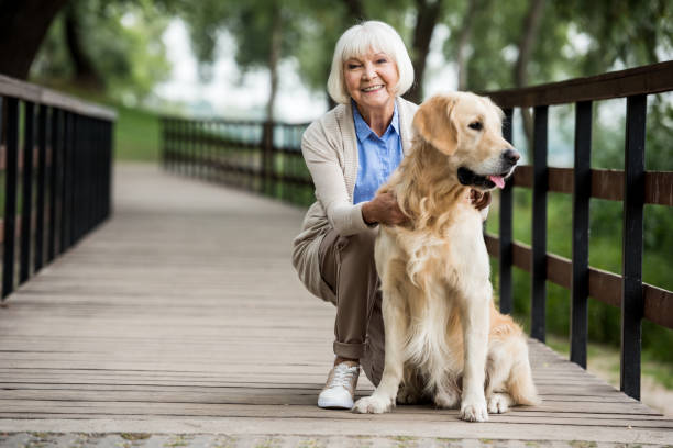 glückliche seniorin mit goldenem retriever-hund auf holzbrücke - aktiver senior stock-fotos und bilder
