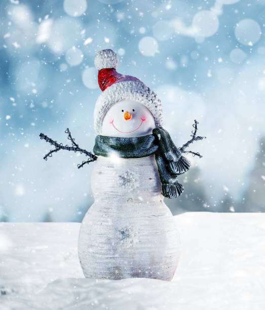 bonhomme de neige heureux dans la scène d'hiver - bonhomme de neige photos et images de collection