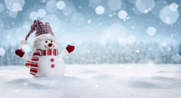 Happy snowman in winter secenery Panoramic view of happy snowman in winter secenery with copy space christmas stock pictures, royalty-free photos & images