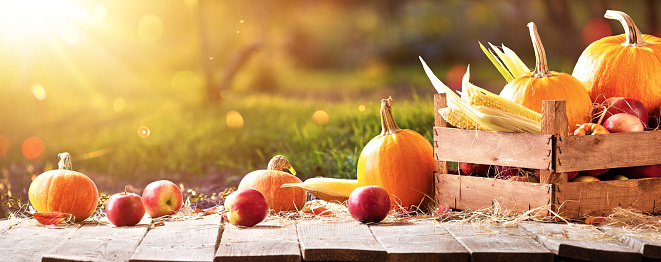 Happy Thanksgiving Day Background. Wooden Table Decorated with Pumpkins. Holiday Autumn Concept Harvest