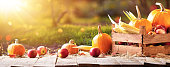 istock Happy Thanksgiving Day Background. Autumn Harvest 1334496328