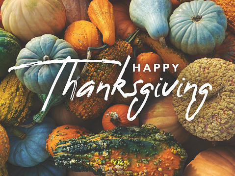 Happy Thanksgiving Pictures | Download Free Images on Unsplash