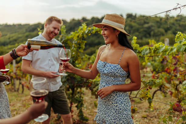Happy wine tourists tasting wine in vineyard stock photo