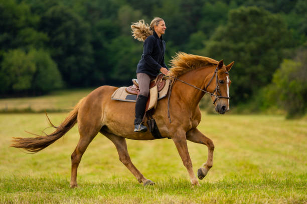 happy woman enjoying galloping with her horse stock photo