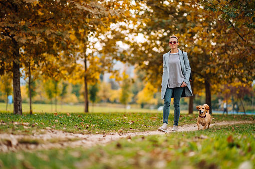Happy woman walking on a park trail with a small brown dog in autumn