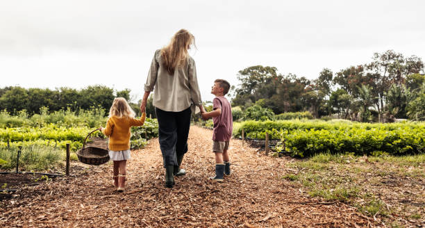 Happy young family going harvesting on an organic farm stock photo