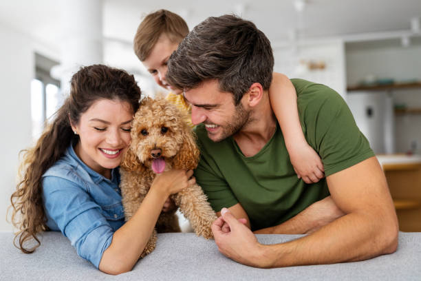 Happy young family having fun together at home. Happy childhood concept stock photo