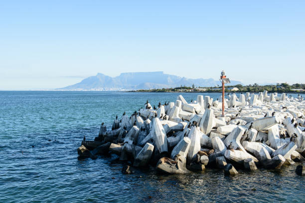 Harbour of Cape Town, South Africa