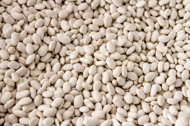 Haricot Bean Haricot Bean runner bean stock pictures, royalty-free photos & images