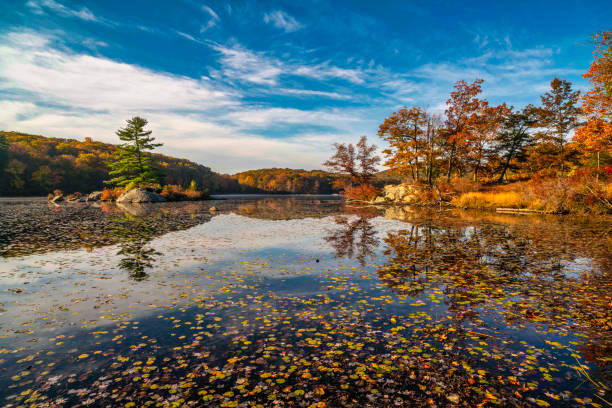 Harriman State Park in autumn stock photo