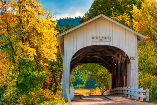 Harris Covered Bridge in Autumn Built in 1929 this covered bridge is located in Harris Community, in Philomath, Oregon and was established in 1890 and named after a pioneer land owner. covered bridge stock pictures, royalty-free photos & images
