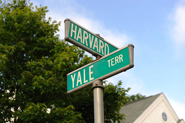 Harvard and Yale stock photo